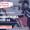 University of Dayton Undergraduate Merit Scholarship 2023