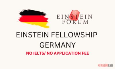 Apply for the Fully Funded Einstein Fellowship 2024 in Germany