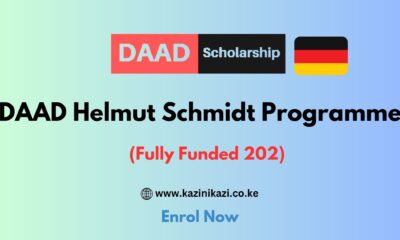 DAAD Helmut Schmidt Programme 2024 in Germany